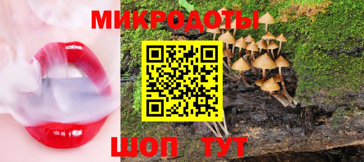 Галлюциногенные грибы Psilocybine cubensis  Вход с VPN  Карачаевск 