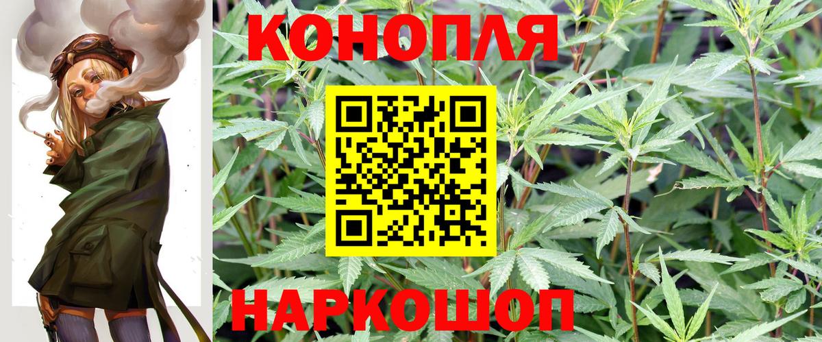 Конопля планчик  Марихуана ГИДРОПОН  Вход с VPN  Карачаевск 